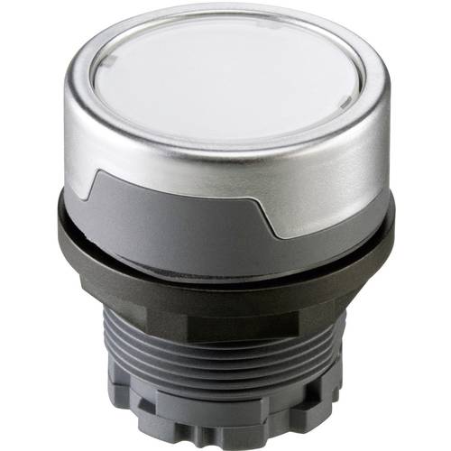 Schlegel RMCTKL RMCTKL Drucktaster Silber-Grau 1 St.