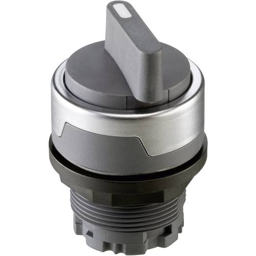 Schlegel RMCSTA RMCSTA Wahltaste Silber-Grau 1 x 90 ° 1 St.