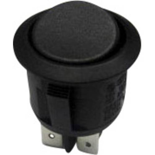 TRU COMPONENTS 1587659 Wippschalter TC-R13-244C-02 250 V/AC 10 A 1 x Ein/Ein rastend 1 St.