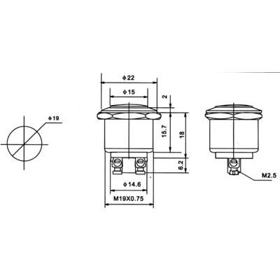 Technische Zeichnung eines zylinderförmigen Bauteils mit Maßangaben: Durchmesser 22 mm, Höhe 16,7 mm, Gewinde M19X0,75, Anschluss M2,5.