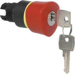 Pilztaster Schwarz Rot