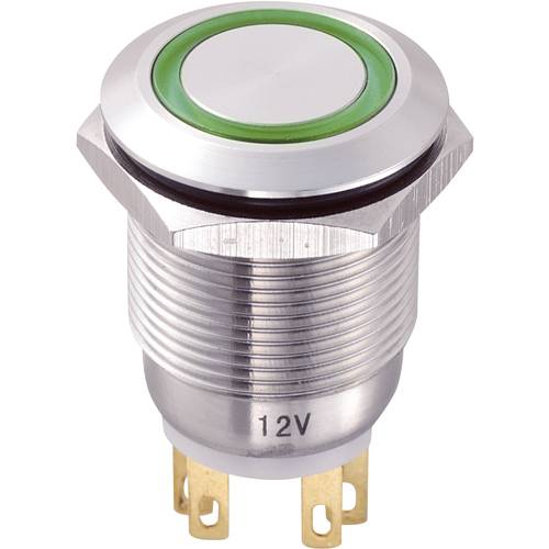 TRU COMPONENTS TC-8904664 Vandalismusgeschützter Drucktaster 250 V/AC 5 A 1 x Aus/(Ein) tastend Grün IP65 1 St.