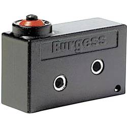 Image of Burgess Mikroschalter V9NLR1H 250 V/AC 10 A 1 x Ein/(Ein) IP67 tastend 1 St.