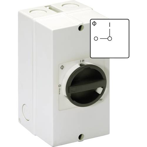 Thumbnail - Kraus & Naimer KG10.T103/40.KS51V Reparaturschalter absperrbar 20 A 1 x 90 ° Schwarz 1 St.
