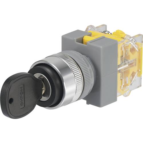 TRU COMPONENTS 704536 Y090-A-20Y/33 Schlüsselschalter 250 V/AC 5 A 2 x Aus/(Ein) 2 x 45 ° IP40 1 St.