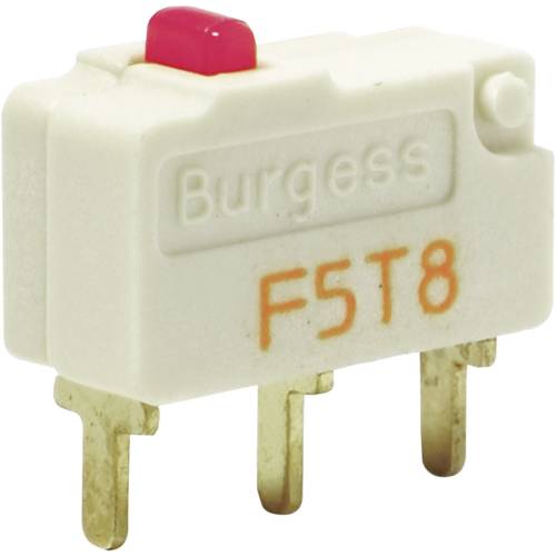 Burgess F5T8UL Mikroschalter F5T8UL 250 V/AC 5 A 1 x Ein/(Ein) IP40 tastend 1 St.