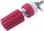 Ein roter Anschluss mit einem Metallgewinde, Isolator und Schraube, meist für elektrische Verbindungen an Batterien oder Geräten verwendet.