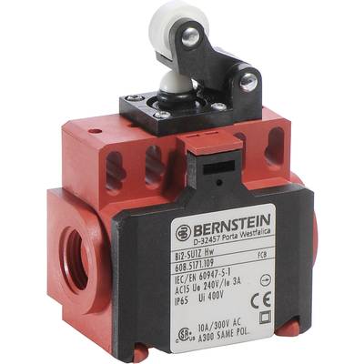 Bernstein 6085171109 BI2-SU1Z HW Endschalter 240 V/AC 10 A Rollenhebel tastend IP65 1 St.
