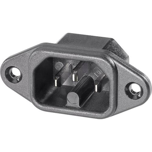 K & B 42R024211 Warmgeräte-Steckverbinder 42R Stecker, Einbau vertikal Gesamtpolzahl: 2 10 A Schwarz 1 St.