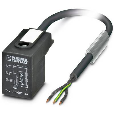 Ein elektronisches Relais von Phoenix Contact mit angeschlossenen Drähten, beschriftet mit '24V AC/DC 4A'; technische Komponenten werden gezeigt.