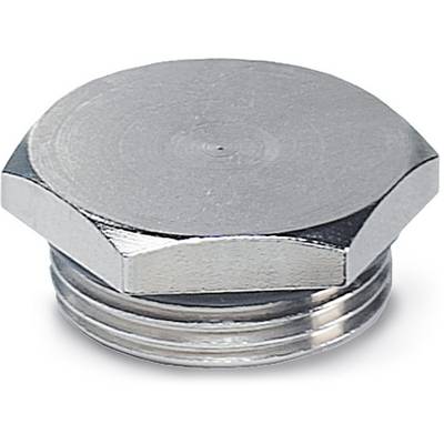 Silberner, sechseckiger Metallstopfen mit Gewinde, hauptsächlich für den Gebrauch in mechanischen oder hydraulischen Systemen vorgesehen.