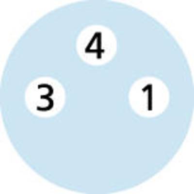 Kreisdiagramm mit drei Zahlen: 3, 4, 1.