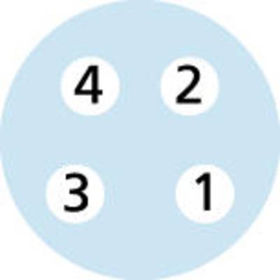 Vier nummerierte Kreise in blauem Kreis: oben links '4', oben rechts '2', unten links '3', unten rechts '1'.