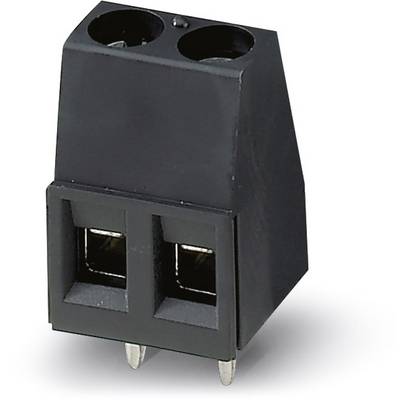 Elektrischer Steckverbinder mit zwei Anschlüssen, schwarzes Gehäuse, geeignet für Leiterplattenmontage.