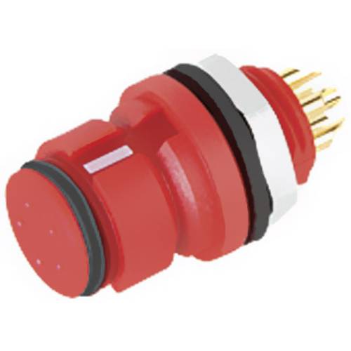 binder 99 9212 050 04 Rundstecker Buchse, Einbau Gesamtpolzahl: 4 Serie (Rundsteckverbinder): 620 1 St.