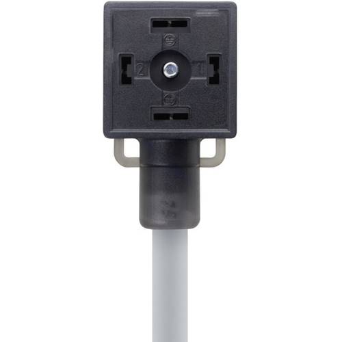 Thumbnail - Ventilsteckverbinder Bauform A Schwarz VA21-230.0-5/P01 Pole:2+PE 8047823 Escha Inhalt: 1 St.