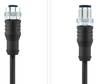 Escha 8044041 Sensor-/Aktor-Steckverbinder, konfektioniert M12 Stecker, gerade, Buchse, gerade 2.00 m Polzahl Sensoren: 4 1 St.
