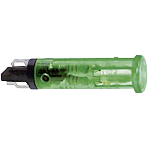 RAFI 1.69.508.864/1301 Standard Signalleuchte mit Leuchtmittel Rot 1 St.