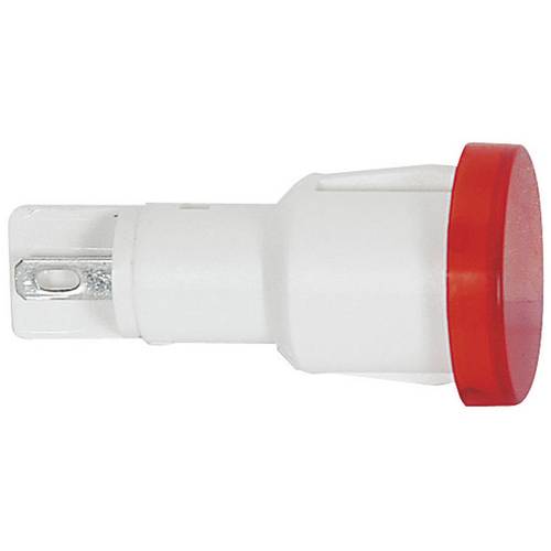 RAFI 1.69.523.003/1502 Standard Signalleuchte mit Leuchtmittel 1.20 W 1 St.