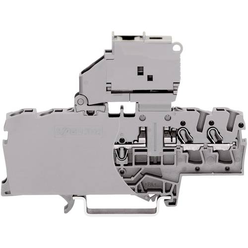 WAGO 2002-1811 Sicherungsklemme 6.20 mm Zugfeder Belegung: L Grau 1 St.