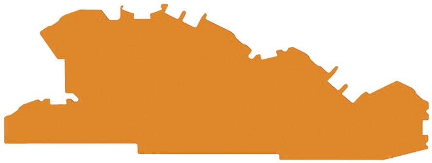 WAGO 2005-7692 Afslutnings- og skilleplade Orange 1 stk