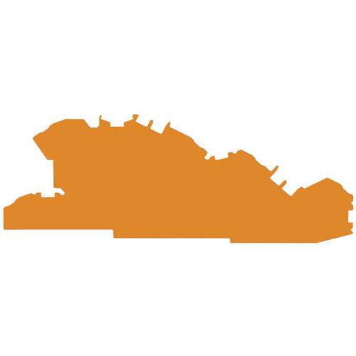 WAGO 2005-7692 Abschluss- und Trennplatte Orange 1 St.