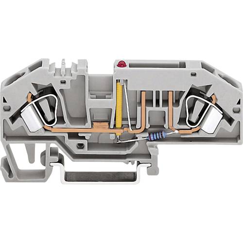 WAGO 282-698/281-449 Sicherungsklemme Zugfeder 1 St.