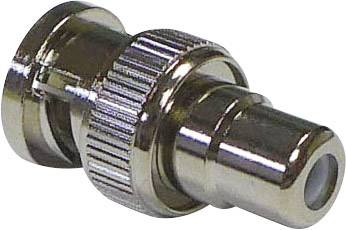 TRU COMPONENTS 730556 BNC-Adapter BNC-Stecker - Cinch-Buchse 1 St.