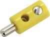 Kahlert Licht Miniatur-Bananenstecker Stecker, gerade Stift-Ø: 2.6 mm Orange 1 St.