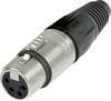 Neutrik NC4FX XLR-Steckverbinder Buchse, gerade Polzahl: 4 Silber 1 St.