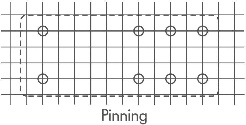 Diagramm zeigt ein Gitter mit mehreren Punkten in rechteckigem Bereich. Beschriftet mit 'Pinning'. 