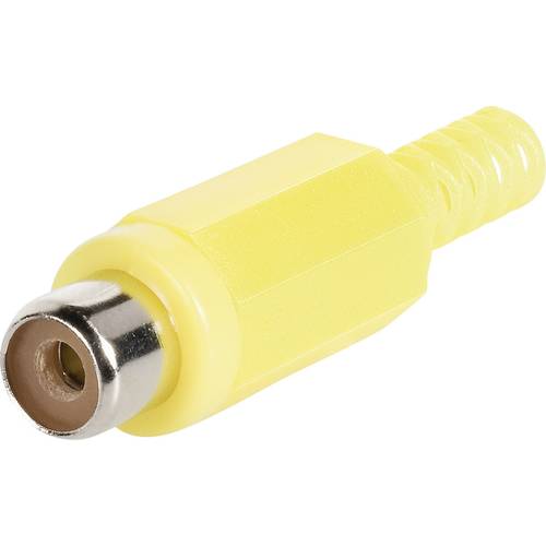 BKL Electronic 072210/T Cinch-Steckverbinder Buchse, gerade Polzahl: 2 Rot 1 St.