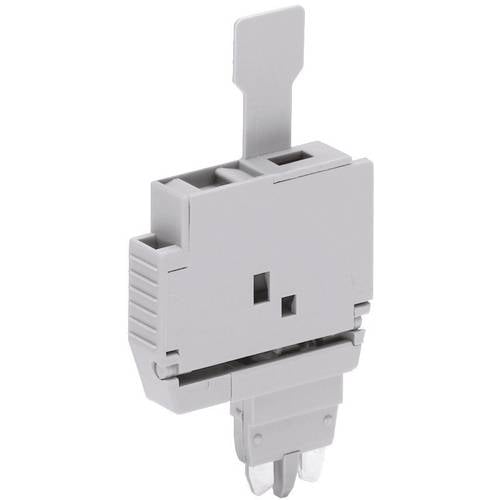 WAGO 2004-911 Sicherungsstecker Grau 1 St.