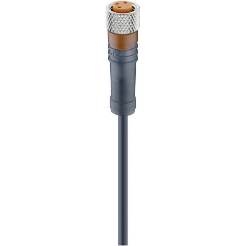 Lumberg Automation 28383-1 Sensor-/Aktor-Steckverbinder, konfektioniert M8 Buchse, gerade 2.00 m Polzahl Sensoren: 4 1 S...