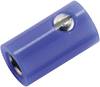 Kahlert Licht Miniatur-Laborbuchse Buchse, gerade Stift-Ø: 2.6 mm Blau 1 St.