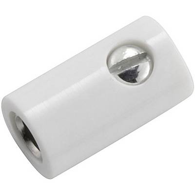 Ein weißer Kabelverbinder mit einer Metallschraube zur Befestigung von elektrischen Kabeln.