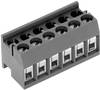 PTR Hartmann 51350100001E Schraubklemmblock 1.50 mm² Polzahl 10 Grau 1 St.
