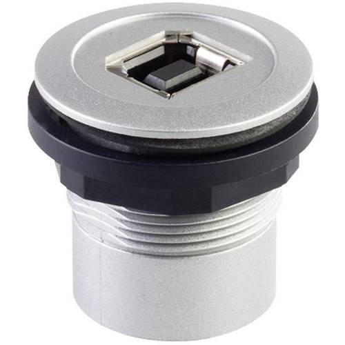 USB-Einbaubuchsen 2.0 Buchse, Einbau RRJ_USB_BA RRJ_USB_BA Schlegel Inhalt: 1 St.