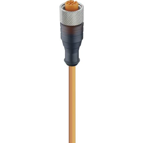 Lumberg Automation 11348-1 Sensor-/Aktor-Steckverbinder, konfektioniert M12 Buchse, gerade 2.00 m Polzahl Sensoren: 4 1 ...