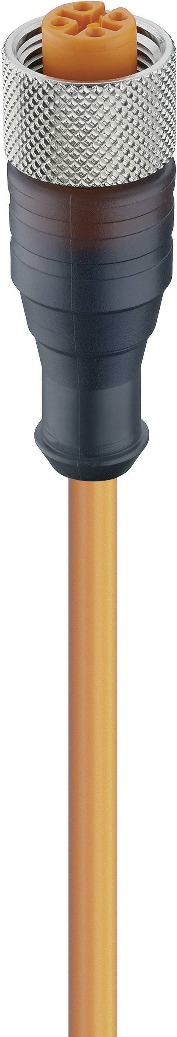 Lumberg Automation 11348-1 Sensor-/Aktor-Steckverbinder, konfektioniert M12 Buchse, gerade 2.00 m Polzahl Sensoren: 4 1 St.