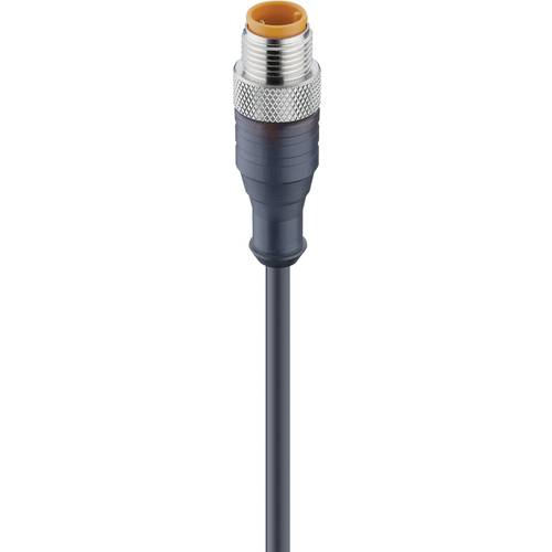 Lumberg Automation 11809-1 Sensor-/Aktor-Steckverbinder, konfektioniert M12 Stecker, gerade 2.00 m Polzahl Sensoren: 4 1...