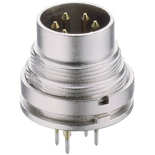 Lumberg SGR 50/6 DIN-Rundsteckverbinder Stecker, Einbau vertikal Polzahl: 5 Silber 1 St.