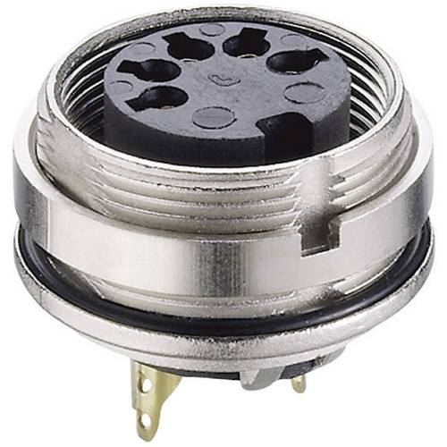 Lumberg 0305 05-1 DIN-Rundsteckverbinder Buchse, Einbau vertikal Polzahl: 5 Silber 1 St.