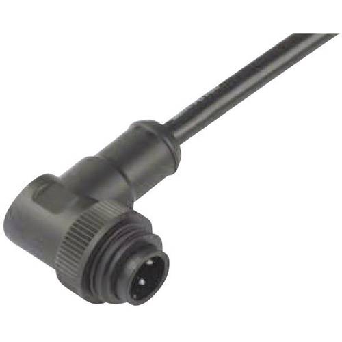 binder 79-0237-20-07 Rundstecker Stecker, gerade Gesamtpolzahl: 6 + PE Serie (Rundsteckverbinder): 692 1 St.