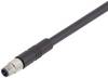 binder 79-3101-32-03 Sensor-/Aktor-Steckverbinder, konfektioniert M5 Stecker, gerade 2.00 m Polzahl Sensoren: 4 20 St.