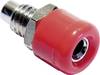 Schnepp Miniatur-Laborbuchse Buchse, Einbau vertikal Stift-Ø: 2.6 mm Rot 1 St.