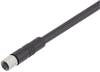 binder 79-3108-35-04 Sensor-/Aktor-Steckverbinder, konfektioniert M5 Buchse, gerade 5.00 m Polzahl Sensoren: 4 1 St.