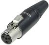 Rean AV RT4FC-B Miniatur-XLR-Steckverbinder Buchse, gerade Polzahl: 4 Schwarz 1 St.
