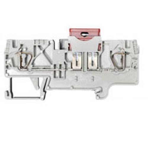 Wieland Electric 56.704.4155.0 Sicherungsklemme Grau 1 St.