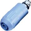 Stäubli XUB-G Laborbuchse Buchse, Einbau vertikal Stift-Ø: 4 mm Blau 1 St.